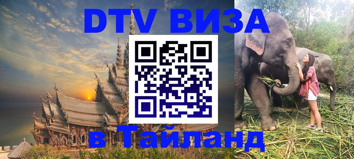Оформление DTV визы под ключ: стоимость и тарифы, только загранпаспорт - 03.10.2025 